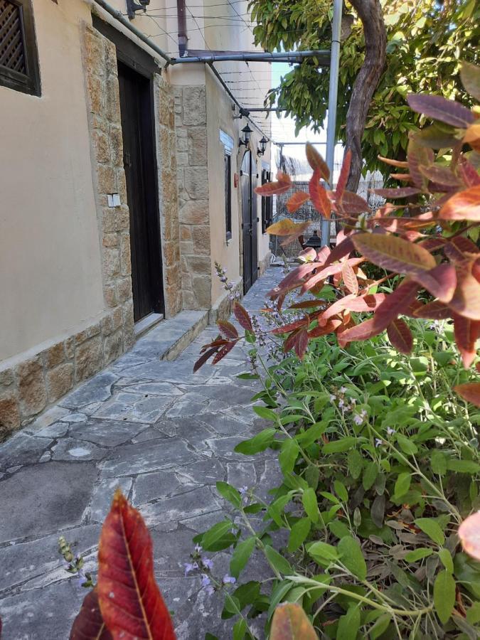 Vasilion Agrotourism Villa Polis Eksteriør billede