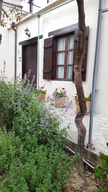 Vasilion Agrotourism Villa Polis Eksteriør billede